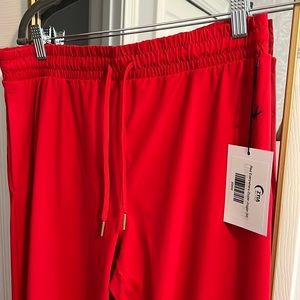 Zyia Everywhere joggers.